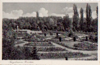 06526 Sangerhausen Rosarium * ca. 1940