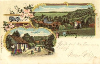 06536 Wolfsberg Greetings from the Harz Litho o August 18, 1899