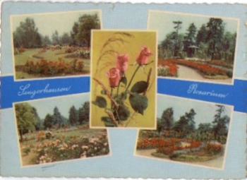 06526 Sangerhausen, Rosarium gebr. 2.8.1961