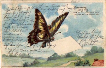 Butterfly with letter spring post embossed card o 28.7.1906