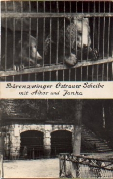 bears Kennel Ostrauer Scheibe with Alko and Janka br. around 1960