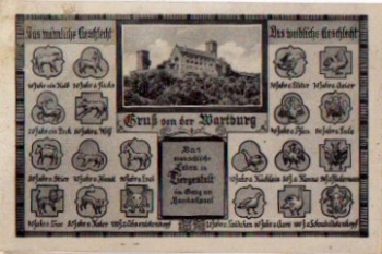 Eule Menschliche Leben in Tiergestalt Gruß von der Wartburg * ca. 1950