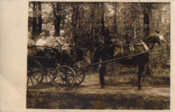 Horse-drawn carriage real photo * ca. 1940