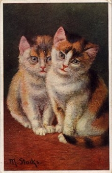 Stacks M. Künstlerkarte "zwei Katzen" * ca. 1920