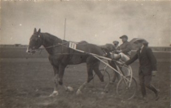 Trabrennen, Sulky  Echtfoto *ca. 1930
