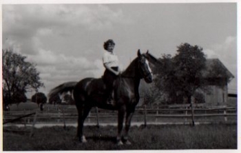 Rider on horse, real photo * approx. 1950