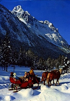 Horse-drawn sleigh Winter o 27.1.1985