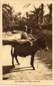 Children riding on donkeys * ca. 1910