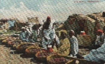 Sudan Omdurman date market *approx. 1910