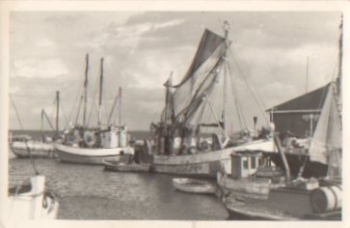 18565 Vitte Insel Hiddensee Hafen o 30.07.1958
