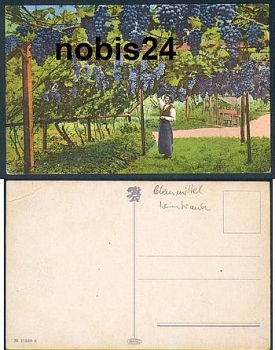 Winzer  im Weinberg Obst *ca. 1920