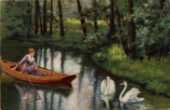 Swans, artist card A. Klaus o September 9, 1924