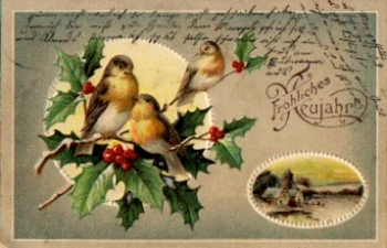 Bird sitting on a branch Embossed card o 31.12.1910