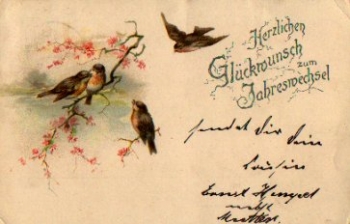 Birds on a branch at the turn of the year o 2.1.1901
