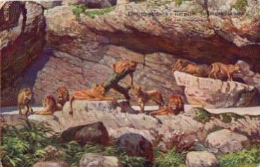 Hamburg Stellingen Carl Hagenbeck's Tierpark Zoological Garden  Lion's Canyon used circa 1962