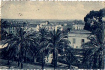 Hyeres Parkhotel an Palmtrees Avenue Département Var o 7.3.1924