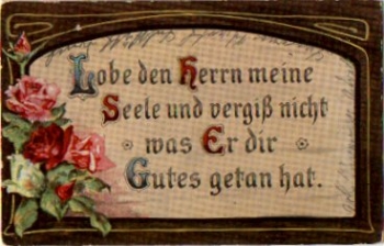Rosen vom 28.5.1917