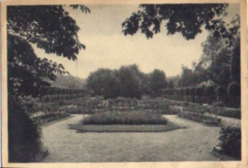 Chemnitz rose garden in the city park 2/17/1949