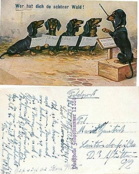 Dachshund choir * approx. 1910