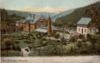 08491 Netzschkau Bad Rosenthal * ca. 1910