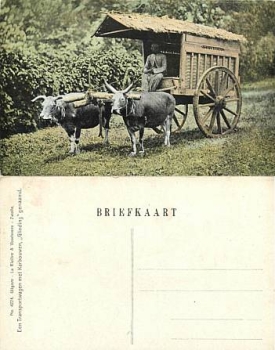 Java Tjimahi ox cart *ca. 1910 Dutch India