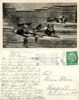 Leipzig Zoo Leuven o April 11, 1941