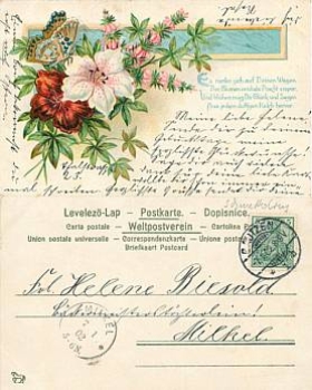 Butterfly with flowers o 7.1.1902