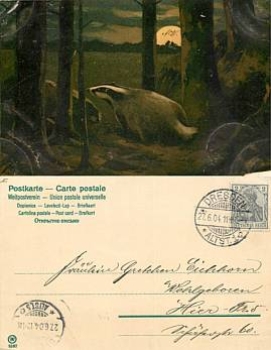 Badger artist card WV 5567 o 27.6.1911 ​​​​​​​probably Mailick (without sig)
