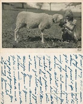 Sheep with girl *ca. 1940