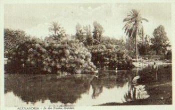 Egypt Alexandria In the Nuzha Garten *ca. 1910