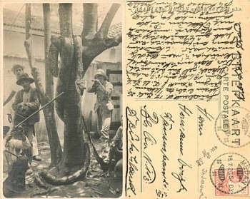 Snakes Dutch India o Medan 18.7.1926