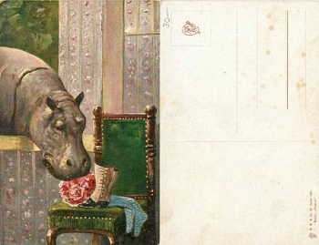 Hippo hippopotamus *approx. 1920