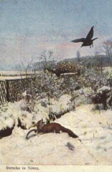 Hunting fox Reineke in distress o 9.2.1905