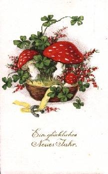 Mushroom toadstools horseshoe and shamrock o 12/30/1927