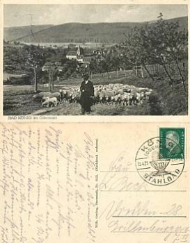 64732 Bad König Schäfer with flock of sheep o 16.4.1929