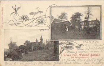 08209 Reiboldsgrun Gruss vom Waldgut Zobisch o 17.9.1902