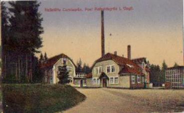 08209 Carolagrun Sanatorium * approx. 1920