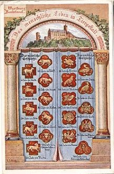 99817 Wartburg Eisenach Banketsaal Eule, * ca. 1900
