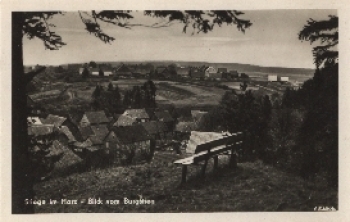 38889 Stiege im Harz vom Burgstieg * ca. 1950