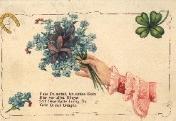 Flowers lucky horseshoe forget-me-not o ca. 1910