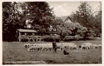 99880 Schnepfenthal Pensioinshaus Klostermühle Herd of sheep o 01/21/1938 Bahnpost