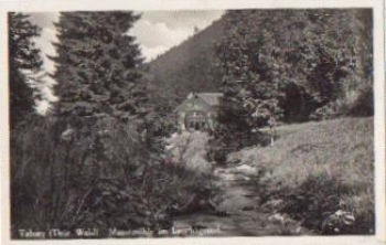 99891 Tabarz Massemuehle im Lauchagrund o 16.8.1933