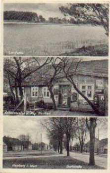 16835 Herzberg Mark grocery store o 1.6.1933