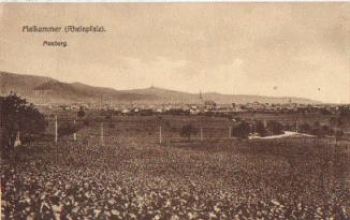 67487 Maikammer Maxburg o 26.6.1924
