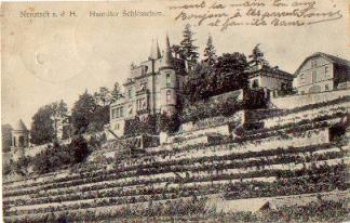 67433 Neustadt an der Weinstrasse Haardter Schloesschen o 11.4.1913