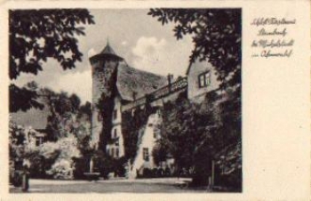 64720 Michelstadt Schloß Fuerstenau Steinbach * ca. 1940