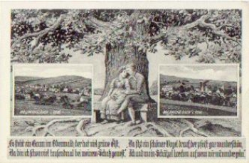 64646 Waldmichelbach * ca. 1930