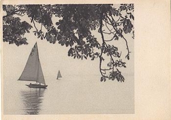 88131 Bodensee autumn lake view * approx. 1950