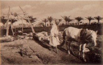 Agriculture Tunisia Farmer watering the fields * around 1920