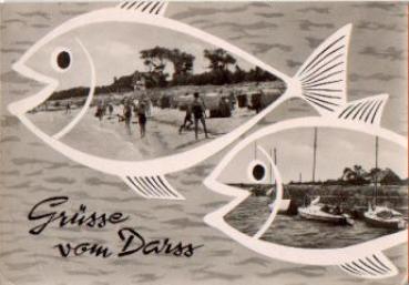 18311 Darss o 6.7.1962